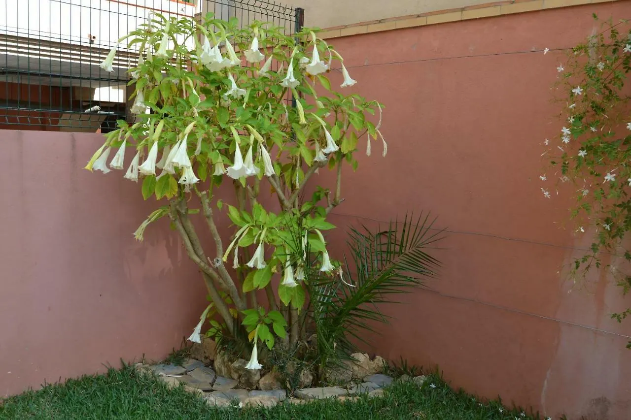 Apartment Apartamento Molino De Viento Fuengirola